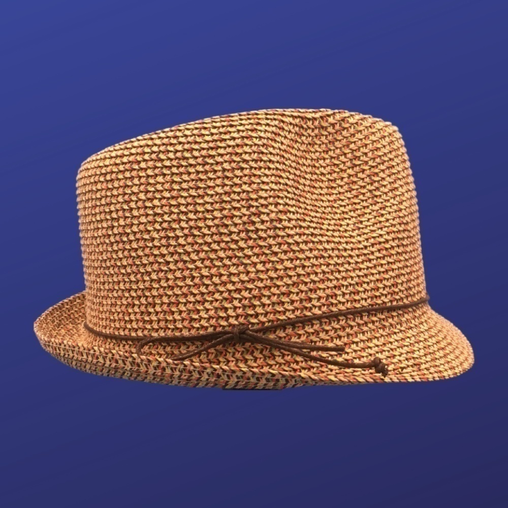 Target Women’s Straw FEDORA hat, NATURAL/MULTICOLOR, One Size, NWOT